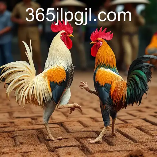 Exploring the World of Sabong Games: The Rise of 365JLPG